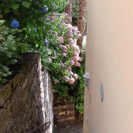 Brissago: 3.5 Zi-Wohnung an extrem ruhiger Lage mit fantastischem Ausblick Exterior foto