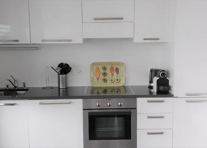 Brissago: 3.5 Zi-Wohnung An Extrem Ruhiger Lage Mit Fantastischem Ausblick