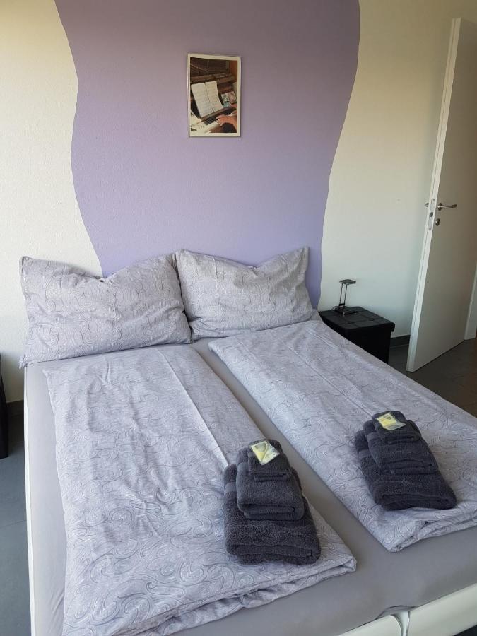 Brissago: 3.5 Zi-wohnung An Extrem Ruhiger Lage Mit Fantastischem Ausblick
