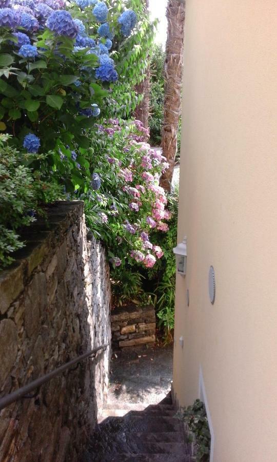 Brissago: 3.5 Zi-wohnung An Extrem Ruhiger Lage Mit Fantastischem Ausblick Brissago TI